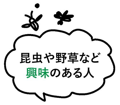 昆虫や野草など興味のある人